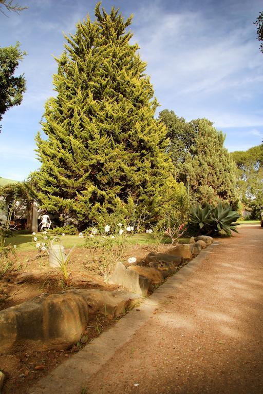 Fynbos Guest House Riversdale Esterno foto