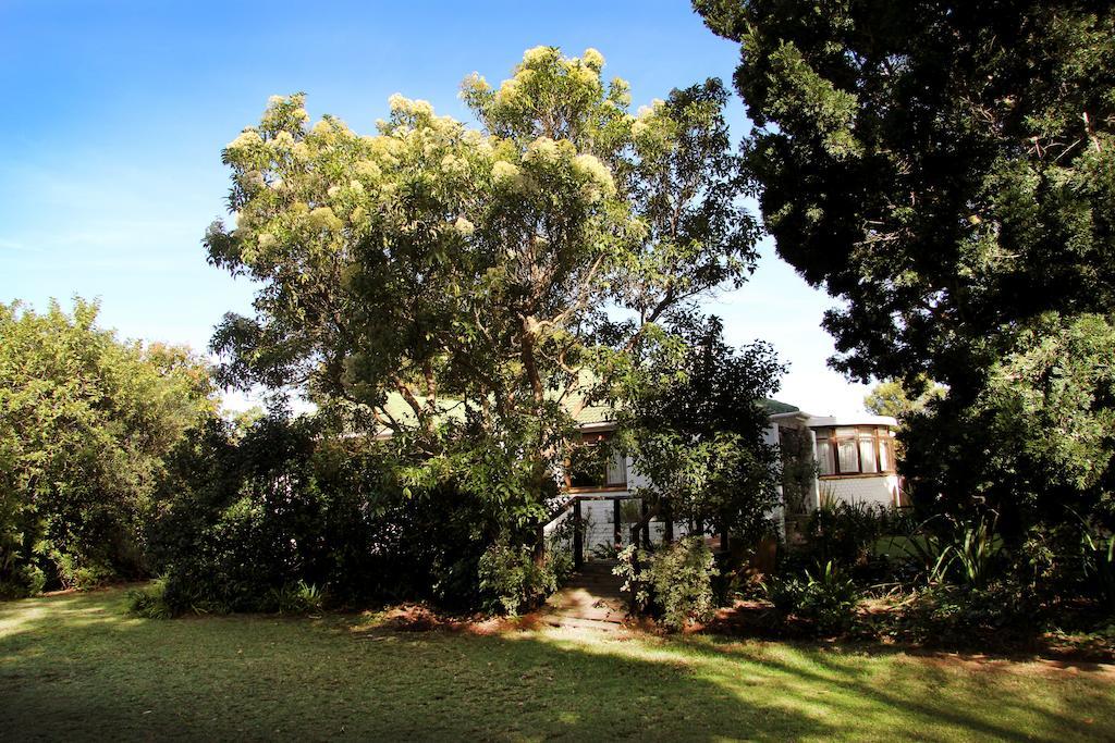 Fynbos Guest House Riversdale Esterno foto